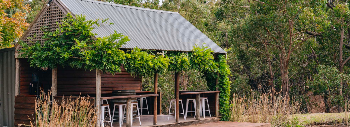 The Lane Vineyard